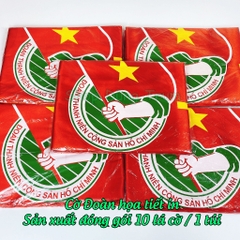 Cờ Đoàn Thanh Niên cờ Đoàn Đội vải Satanh bền đẹp kích thước chuẩn