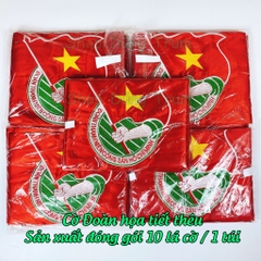 Cờ Đoàn Thanh Niên cờ Đoàn Đội vải Satanh bền đẹp kích thước chuẩn