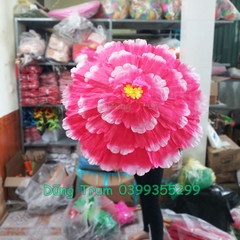 Ô Múa Mẫu Đơn, Ô Hoa Múa Biểu Diễn Siêu Đẹp