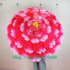 Ô Múa Mẫu Đơn, Ô Hoa Múa Biểu Diễn Siêu Đẹp