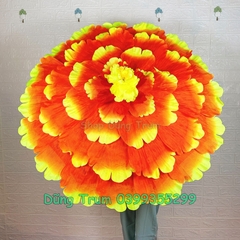 Ô Múa Mẫu Đơn, Ô Hoa Múa Biểu Diễn Siêu Đẹp