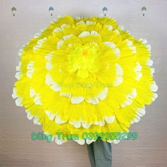 Ô Múa Mẫu Đơn, Ô Hoa Múa Biểu Diễn Siêu Đẹp