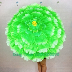 Ô Múa Mẫu Đơn, Ô Hoa Múa Biểu Diễn Siêu Đẹp