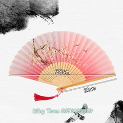 Quạt Cổ Trang Gắn Dây Tua Rua Loại Đẹp Nhiều Mẫu Họa Tiết DT380