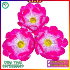 Hoa sen hồng múa biểu diễn chất liệu vải lụa nan sắt có chun dưới đế