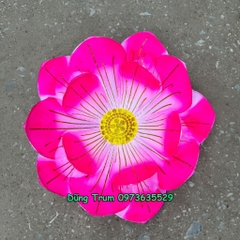 Hoa sen hồng múa biểu diễn chất liệu vải lụa nan sắt có chun dưới đế