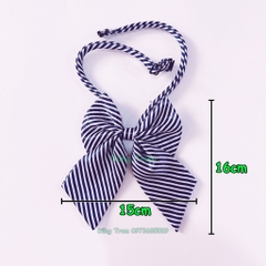 Cà Vạt Đồng Phục Học Sinh Và Nơ Đồng Phục Kẻ Sọc Cá Tính Cho Lớp Quay Chụp Kỷ Yếu