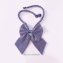 Cà Vạt Đồng Phục Học Sinh Và Nơ Đồng Phục Kẻ Sọc Cá Tính Cho Lớp Quay Chụp Kỷ Yếu