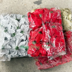 COMBO 50 Hoa Trạng Nguyên size đại 14cm trang trí Tết làm oản - giỏ quà Tết, trang trí Noel