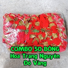 COMBO 50 Hoa Trạng Nguyên size đại 14cm trang trí Tết làm oản - giỏ quà Tết, trang trí Noel