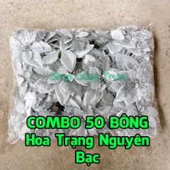 COMBO 50 Hoa Trạng Nguyên size đại 14cm trang trí Tết làm oản - giỏ quà Tết, trang trí Noel
