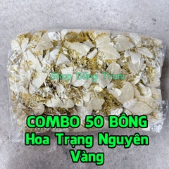 COMBO 50 Hoa Trạng Nguyên size đại 14cm trang trí Tết làm oản - giỏ quà Tết, trang trí Noel