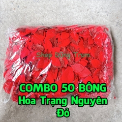 COMBO 50 Hoa Trạng Nguyên size đại 14cm trang trí Tết làm oản - giỏ quà Tết, trang trí Noel