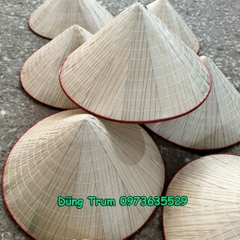 Nón lá biểu diễn