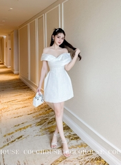 Dress Chiffon