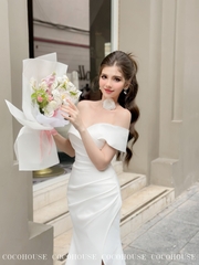 Đầm Xếp Ly Full #DH0018