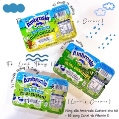 AMBROSIA UK - 6M+VÁNG SỮA HỮU CƠ