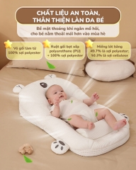 CHILUX - GỐI CHỐNG TRÀO NGƯỢC GẤU TRẮNG