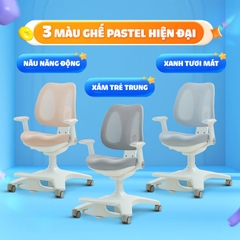 CHILUX - GHẾ TỰA LƯNG TỰ ĐỘNG A11