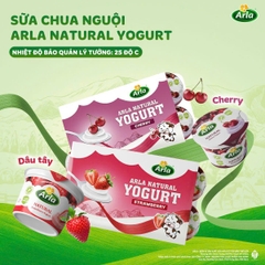 ARLA - 1Y+SỮA CHUA