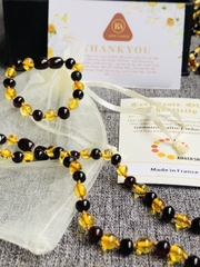 AMBER - VÒNG HỔ PHÁCH PHÁP