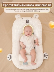 CHILUX - GỐI CHỐNG TRÀO NGƯỢC GẤU TRẮNG