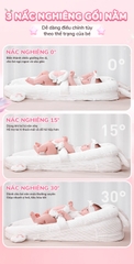 CHILUX - GỐI CHỐNG TRÀO NGƯỢC THỎ HỒNG