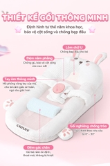 CHILUX - GỐI CHỐNG TRÀO NGƯỢC THỎ HỒNG