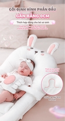CHILUX - GỐI CHỐNG TRÀO NGƯỢC THỎ HỒNG
