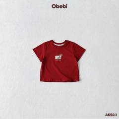 OBB - Áo thun "Bé yêu nước" OBEBI (73-120)