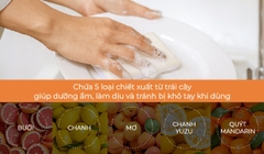 K-MOM - GEL RỬA BÌNH THUẦN CHAY LALABEBE