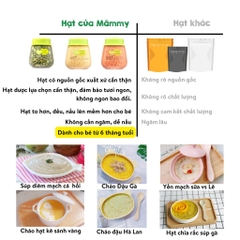 MAMMY - 6M+HẠT HỮU CƠ BỔ NÃO