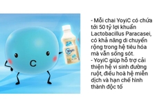 YOYIC - 1Y+SỮA CHUA UỐNG