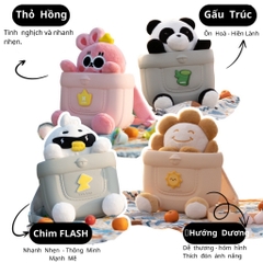 2Y+KOOOL - BALO MẦM NON K53