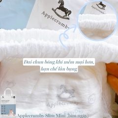 APPLECRUMBY - BỈM NỘI ĐỊA HÀN