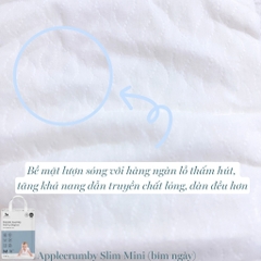 APPLECRUMBY - BỈM NỘI ĐỊA HÀN