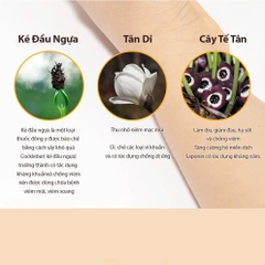 CORORONG - 3M+KEM BÔI CHỐNG NGẠT MŨI HÀN