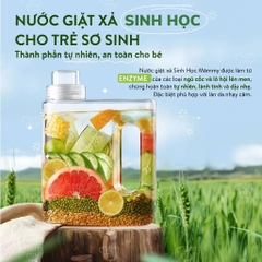 MAMMY - NƯỚC GIẶT XẢ SINH HỌC