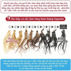ONE ONE - 1Y+HUYỀN SÂM HÀN QUỐC
