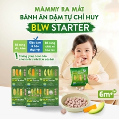 MAMMY - 6M+BÁNH TỰ CHỈ HUY