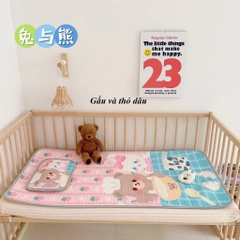 KK - CHIẾU ĐIỀU HÒA CAO SU KÈM GỐI