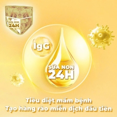 NUTIFOOD - 1Y+SỮA NƯỚC COLOSTRUM LACTOFERRIN