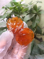 TN - QUẤT RIM MẬT ONG GIẢM HO CẢM