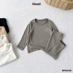 OBEBI - Bộ điều hoà thu đông OBEBi (66-120)