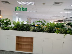 Dịch vụ thuê cây để bàn