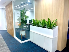 Dịch vụ thuê cây để bàn