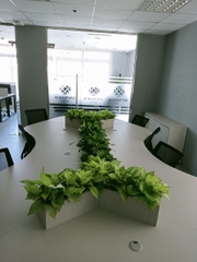 DỊCH VỤ THUÊ CÂY XANH