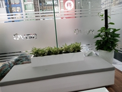 Dịch vụ thuê cây để sàn