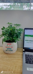 Chậu cây in logo -chậu men sứ