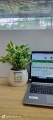 Chậu cây in logo -chậu men sứ
